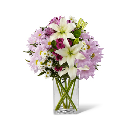 Purple Rain<BR><B>FREE NEXT DAY DELIVERY from Flowers All Over.com 