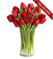 Red Tulips<br><b>Free Next Day Delivery from Flowers All Over.com 