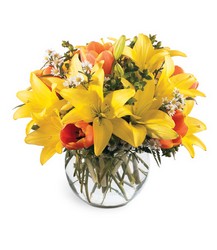 All Is Bright Bouquet<b> from Flowers All Over.com 