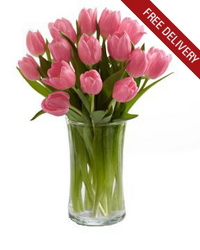 Pink Tulips<br><b>Free Next Day Delivery from Flowers All Over.com 