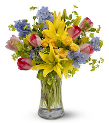 Spring Delight<b> from Flowers All Over.com 