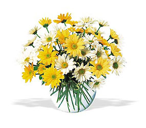 Bowl of Happiness<b> from Flowers All Over.com 