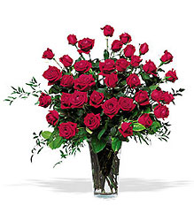 Majestic Roses<br> (3 Dozen)<b> from Flowers All Over.com 