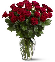 Double Dozen Roses<b> from Flowers All Over.com 