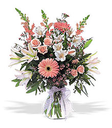 Pink Profusion<b> from Flowers All Over.com 