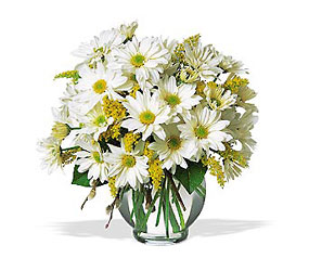 Delightful Daisies<b> from Flowers All Over.com 