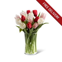 Red, White & Pink Tulips<br><b>Free Next Day Delivery from Flowers All Over.com 